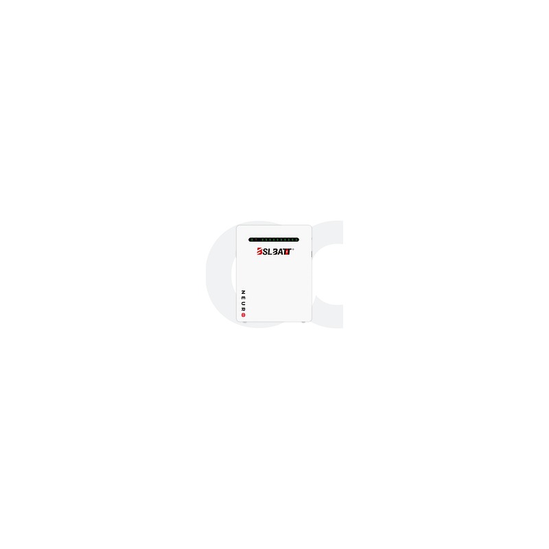 BSL Battery Neuro 5 51.2V 100Ah Wall Mount 5.12kWh