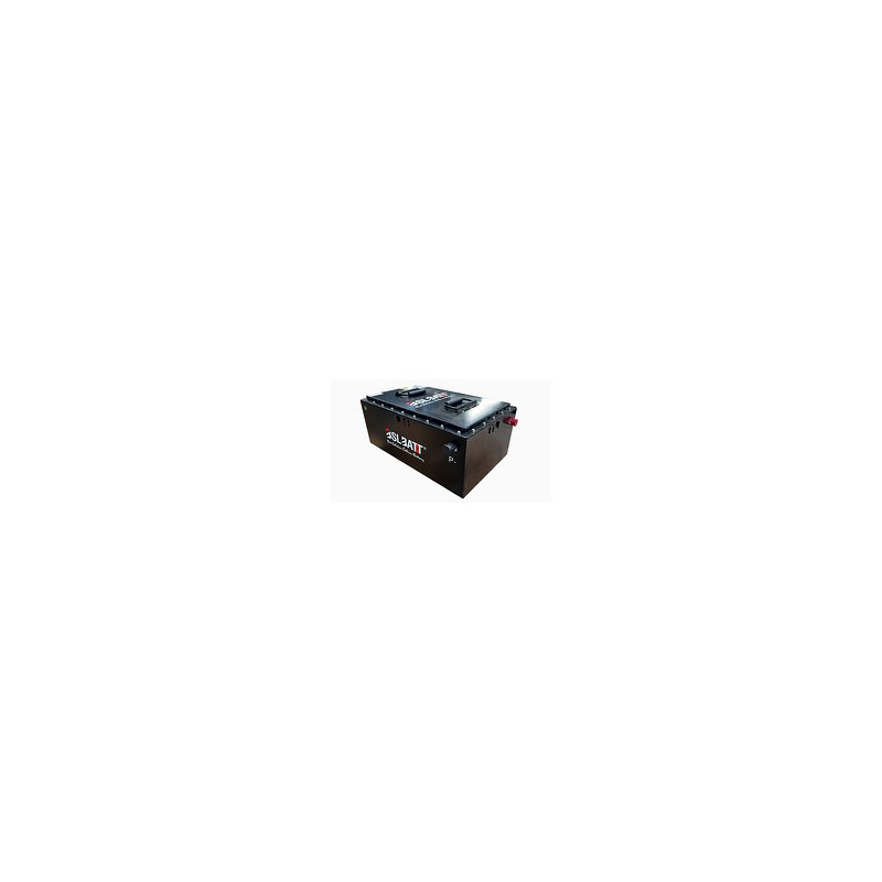 BSL Golf Cart Battery 51.2V 80Ah with Charger